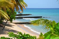 Peter Hart Windsurf Masterclass Clinic - Tobago, Caribbean. Public beach.
